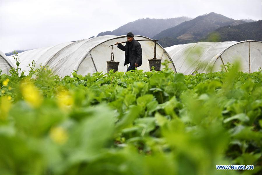 #CHINA-EARLY SPRING-AGRICULTURE (CN)