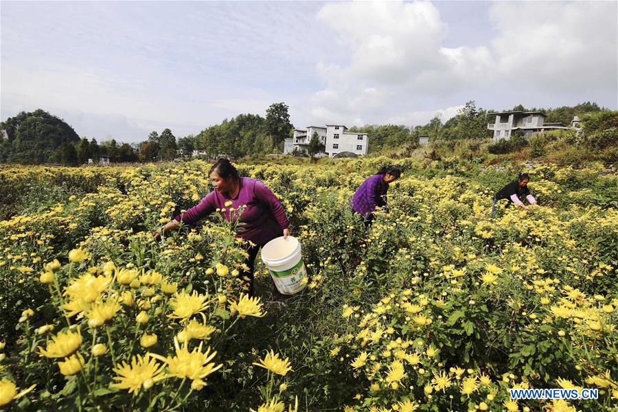 CHINA-POVERTY RELIEF-ACHIEVEMENTS (CN)