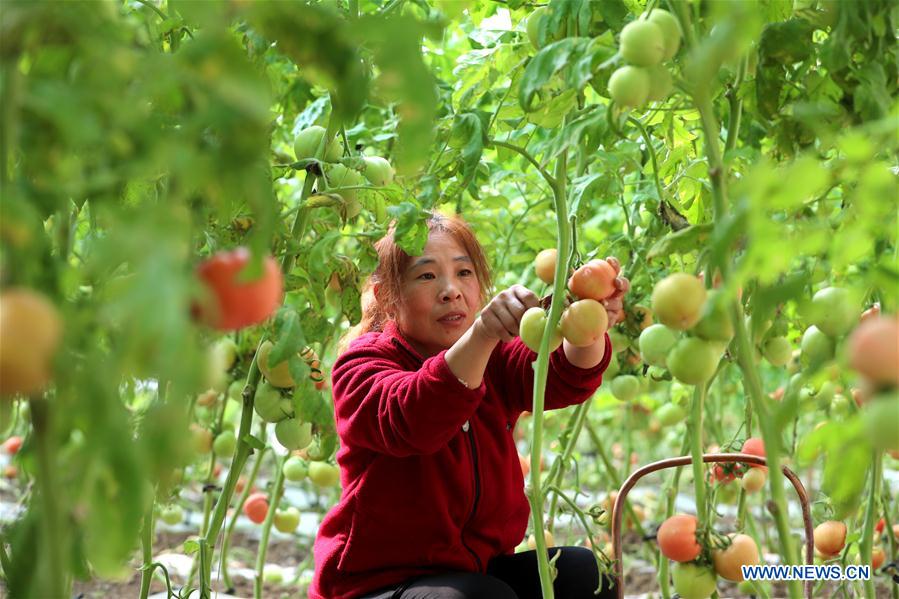 #CHINA-SPRING-FARMING (CN)