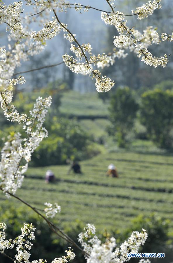 #CHINA-SPRING-FARMING (CN)