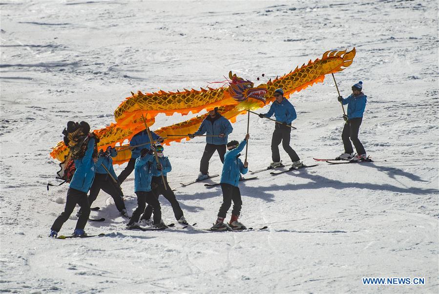 (SP)SLOVENIA-KRANJSKA GORA-CHINESE GRAGON