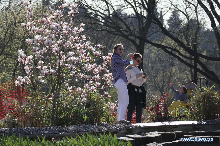 TURKEY-ISTANBUL-FLOWERS