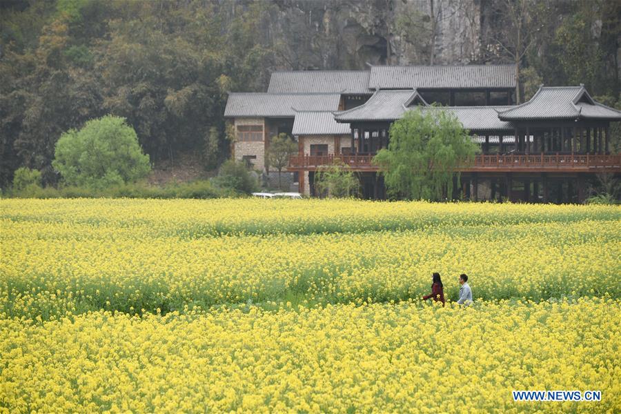 CHINA-GUIZHOU-ANSHUN-SPRING (CN)