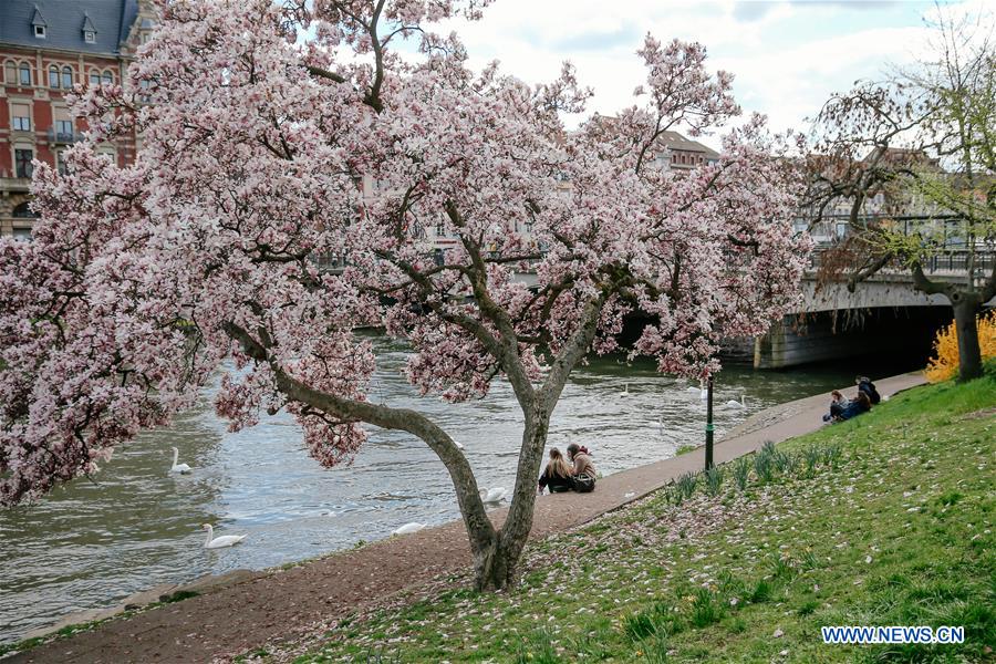 FRANCE-STRASBOURG-SPRING