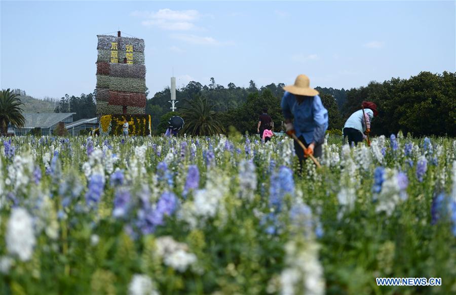 CHINA-YUNNAN-KUNMING-WORLD HORTICULTURE EXPOSITION (CN)