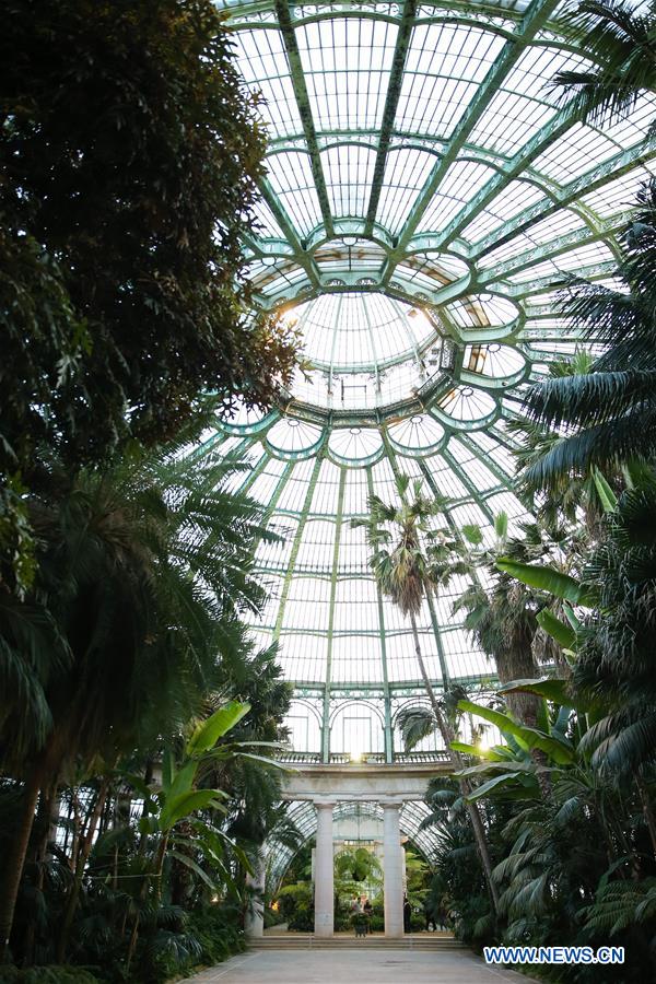 BELGIUM-BRUSSELS-ROYAL GREENHOUSES