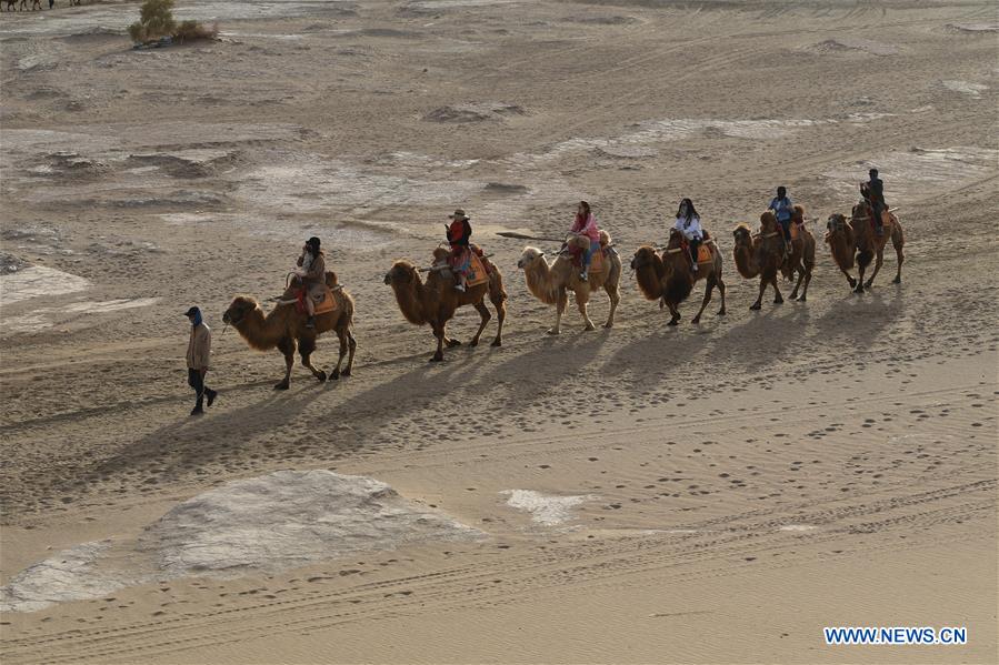 CHINA-GANSU-DUNHUANG-CAMEL-RIDE (CN)