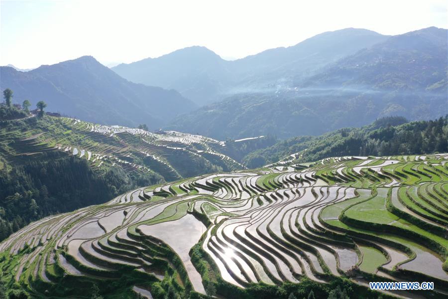 #CHINA-GUIZHOU-TERRACED FIELDS (CN)