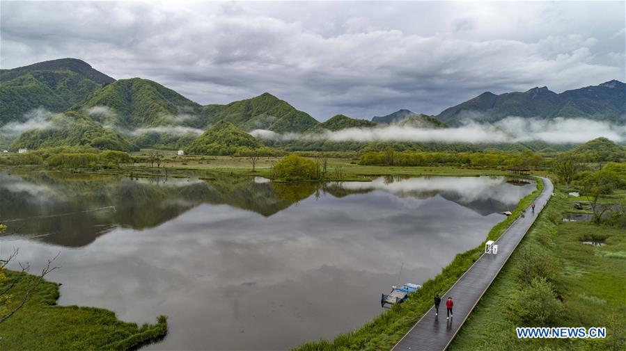 CHINA-HUBEI-SHENNONGJIA-SCENERY (CN)