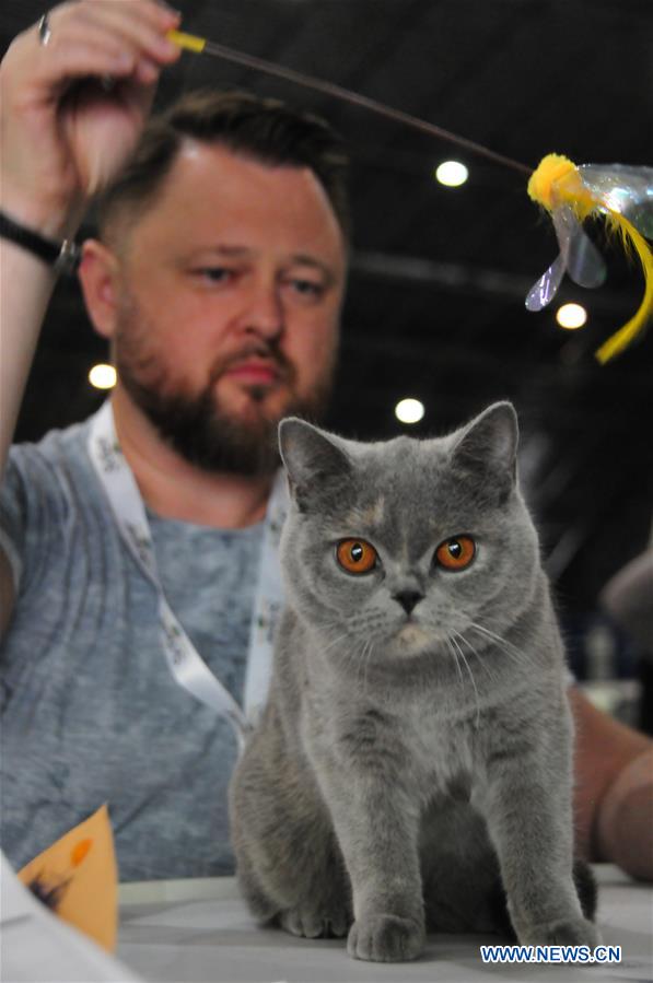 LATVIA-RIGA-CAT SHOW