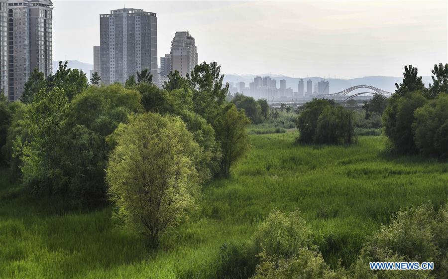 CHINA-SHAANXI-BAOJI-GREENING EFFORTS (CN)