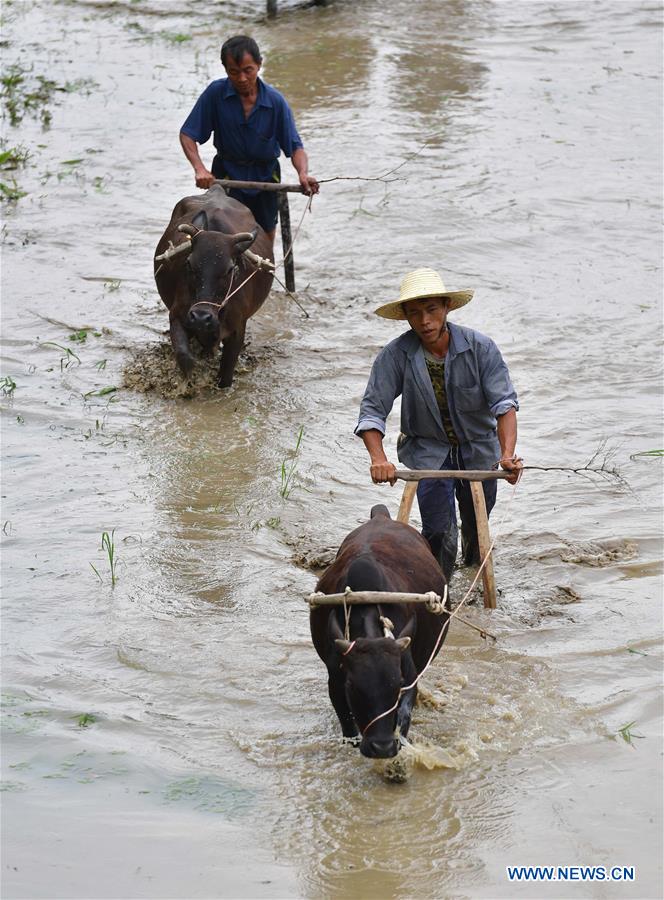 CHINA-GUANGXI-RONGSHUI-POVERTY ALLEVIATION (CN)