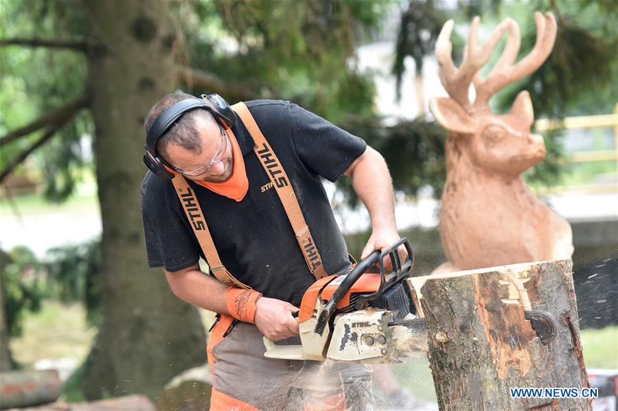 CROATIA-SALINOVEC-CHAINSAW CARVING FESTIVAL