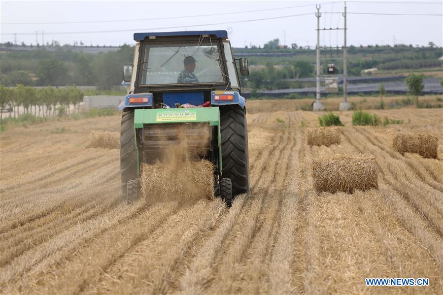 #CHINA-WHEAT STRAW-RECYCLING (CN)