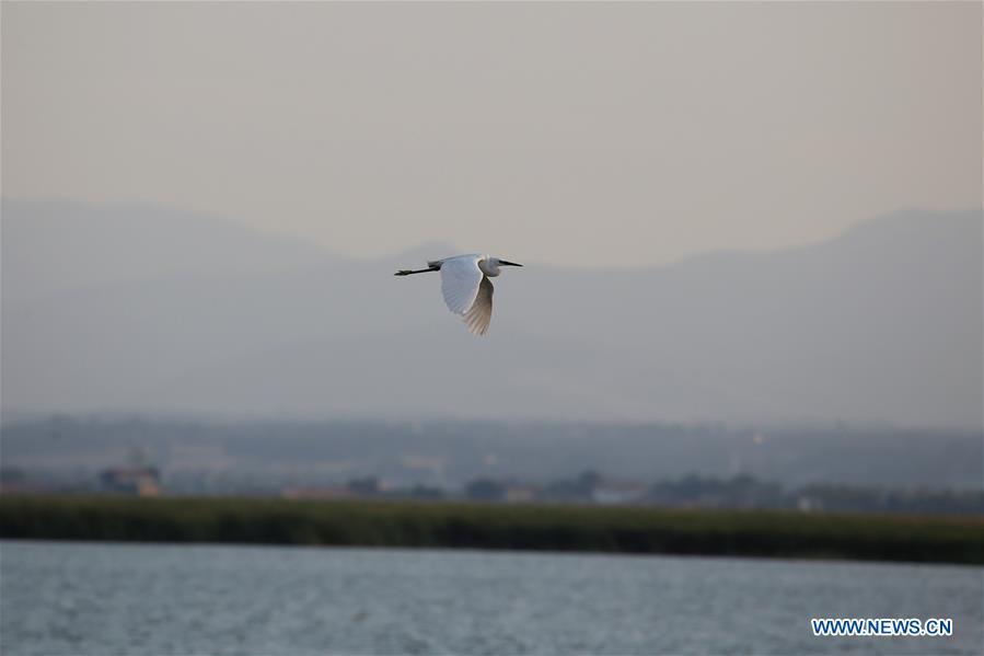 TURKEY-SAMSUN-KIZILIRMAK DELTA-SCENERY (CN)