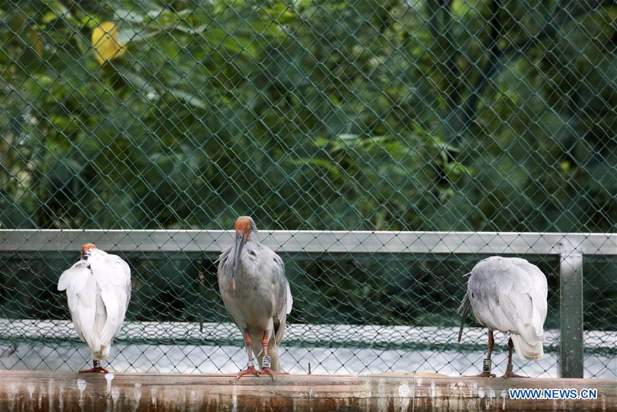 CHINA-ZHEJIANG-DEQING-WETLAND (CN)