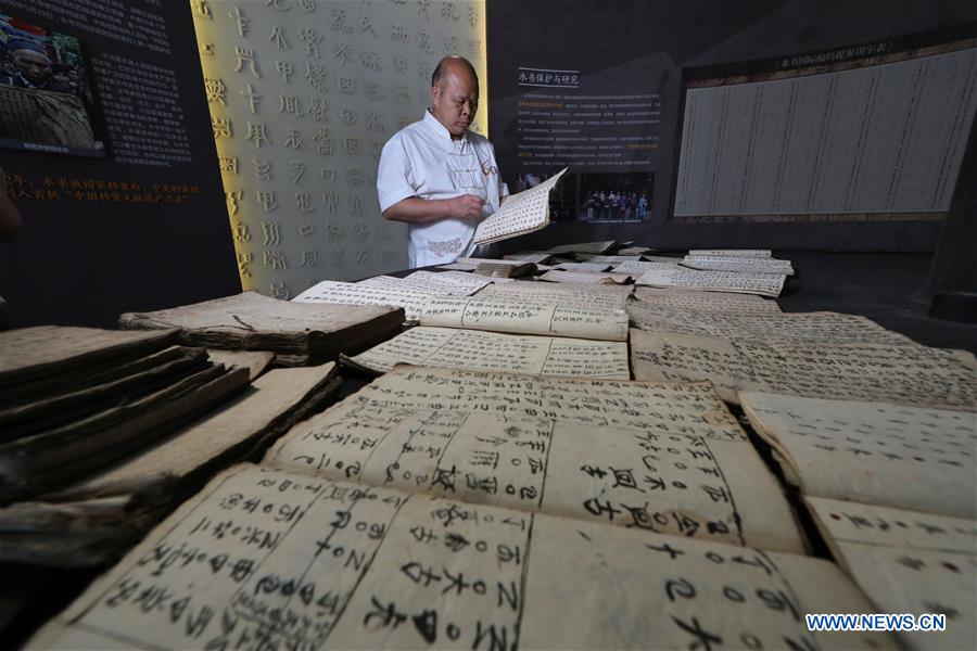 CHINA-GUIZHOU-CULTURE-SHUI SCRIPT-PRESERVATION (CN)