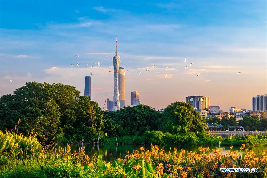 (EcoChina)CHINA-HORTICULTURAL EXPO-GUANGDONG (CN)