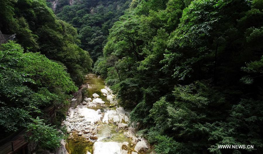 CHINA-SHAANXI-FOREST PARK-SCENERY (CN)