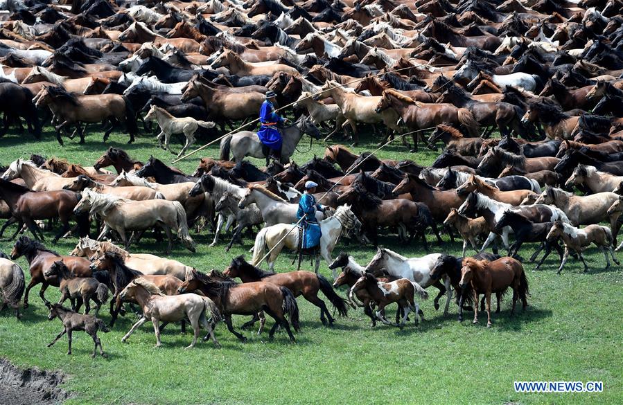 CHINA-INNER MONGOLIA-HORSES (CN)