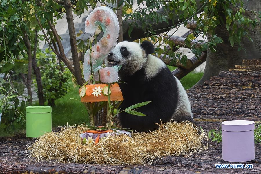 RUSSIA-MOSCOW-PANDAS-BIRTHDAY-CELEBRATIONS