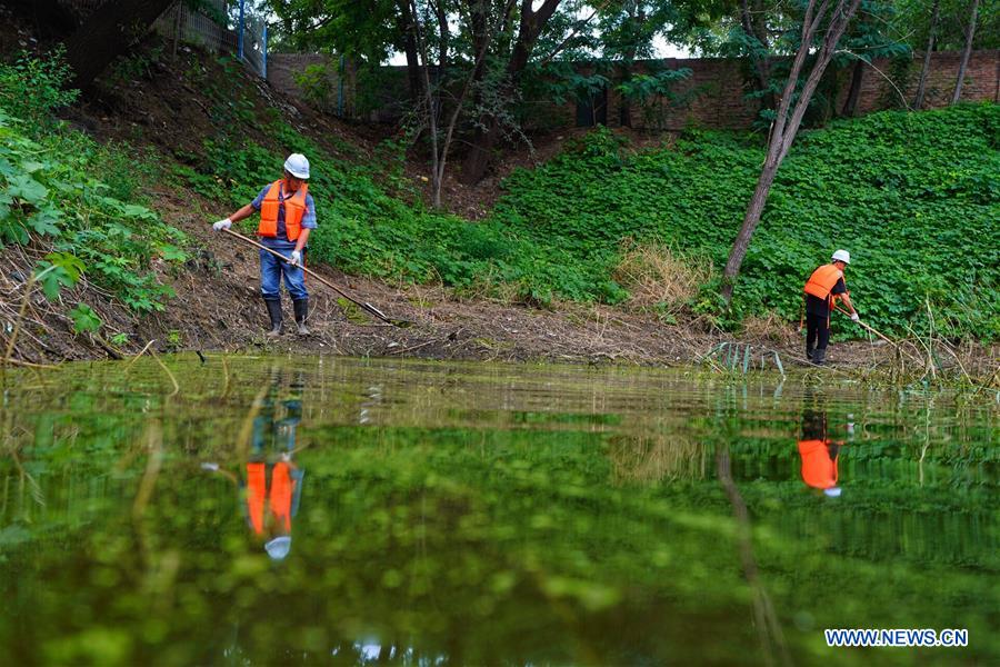 CHINA-HEBEI-XIONGAN-POLLUTED PONDS-ECOLOGICAL RESTORATION (CN)