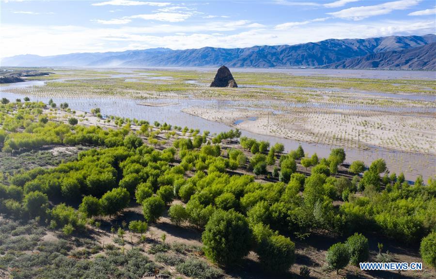 (EcoChina)CHINA-HORTICULTURAL EXPO-TIBET (CN)