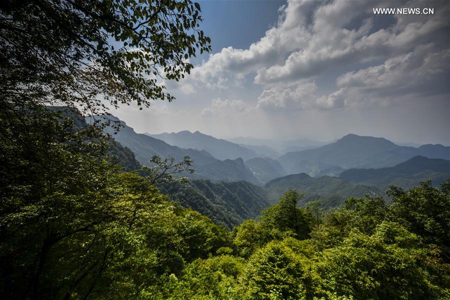 CHINA-CHONGQING-KARST LANDSCAPE (CN)