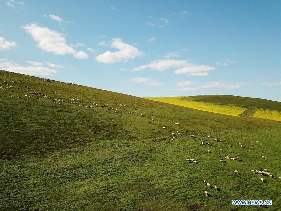 CHINA-INNER MONGOLIA-HULUNBUIR-AERIAL VIEW (CN)