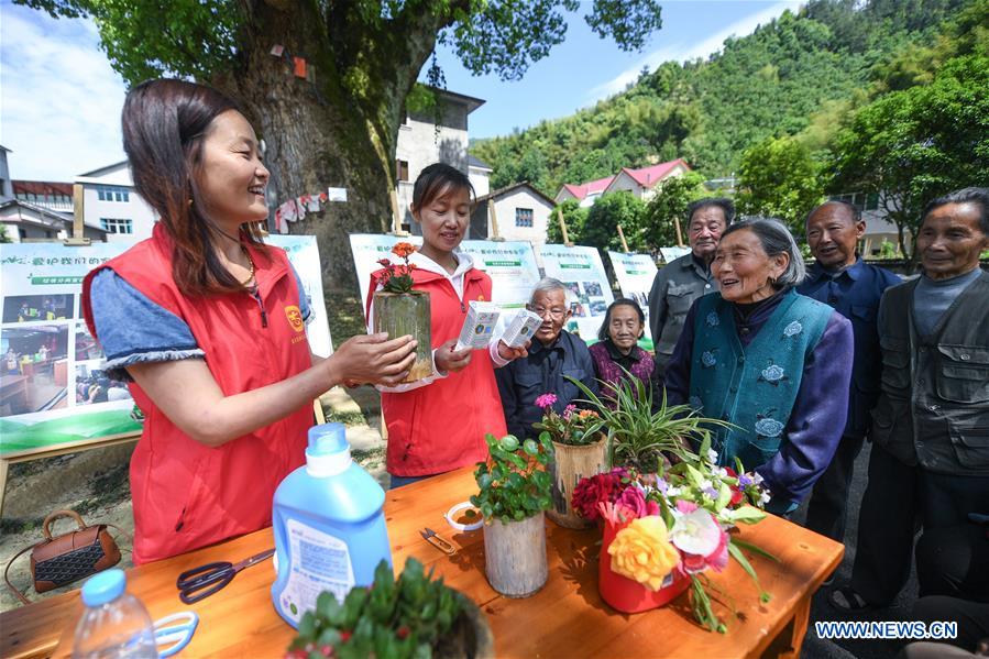 CHINA-RURAL DEVELOPMENT (CN)