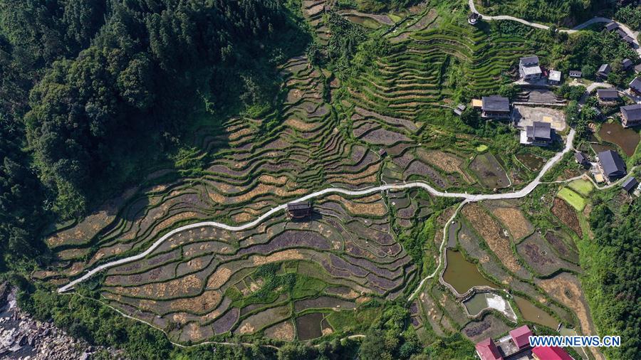 CHINA-GUANGXI-RONGSHUI-AUTUMN SCENERY(CN)