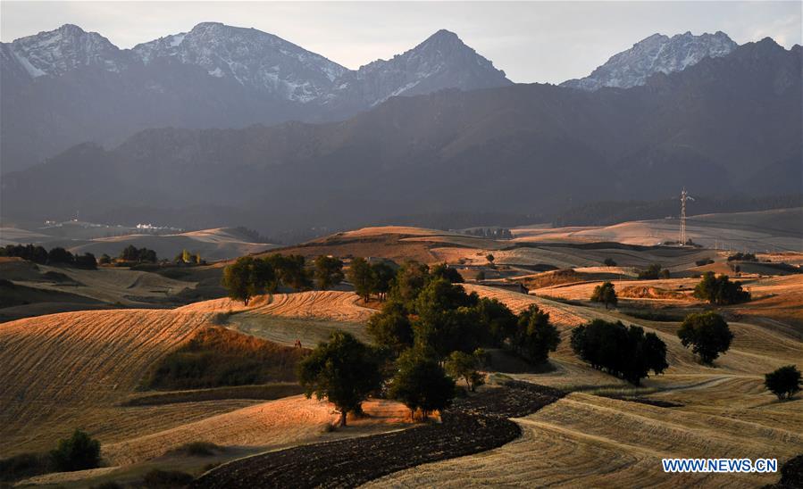 (EcoChina)CHINA-HORTICULTURAL EXPO-XINJIANG (CN)