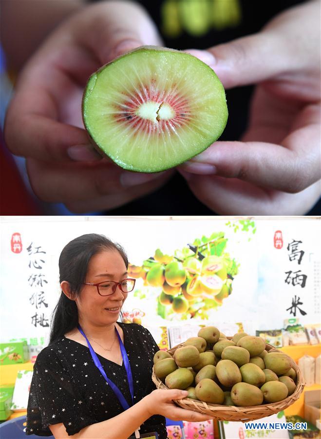 CHINA-GUANGXI-DU'AN-AGRICULTURAL PRODUCT-TRADE FAIR (CN)