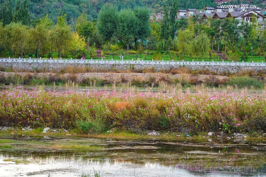 CHINA-HEBEI-SCENIC SPOT-AUTUMN SCENERY (CN)