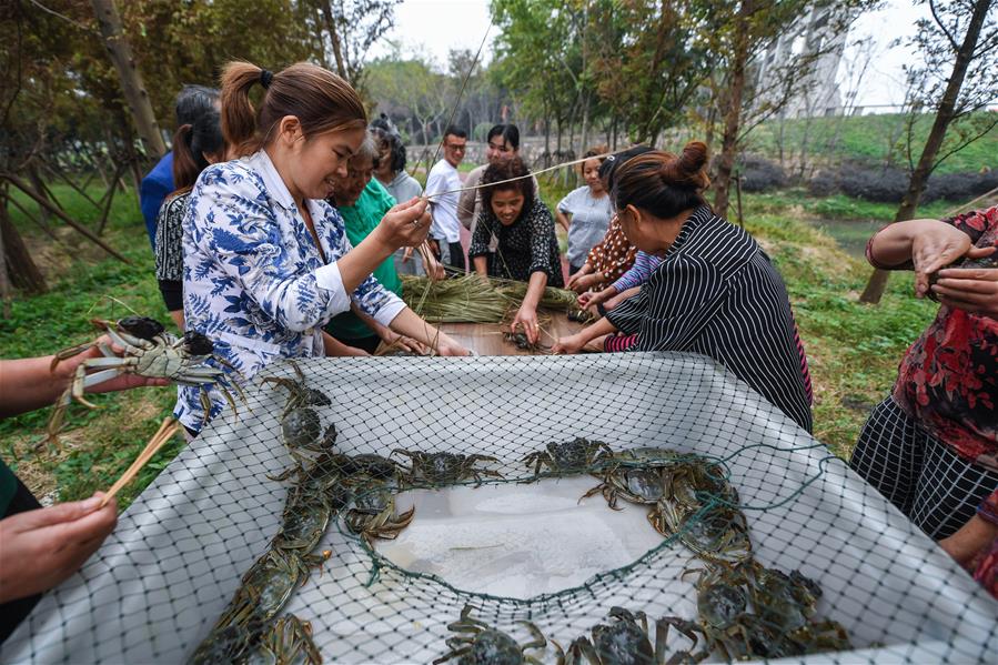 CHINA-ZHEJIANG-HUZHOU-CRAB-BINDING COMPETITION (CN)