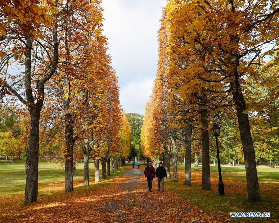 SWEDEN-STOCKHOLM-AUTUMN