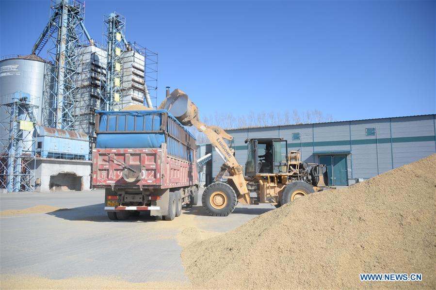 CHINA-HEILONGJIANG-HARBIN-RICE-MARKET (CN)