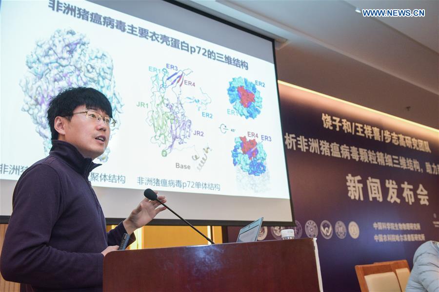 (Eyesonsci)CHINA-BEIJING-AFRICAN SWINE FEVER VIRUS-RESEARCH BREAKTHROUGH (CN)