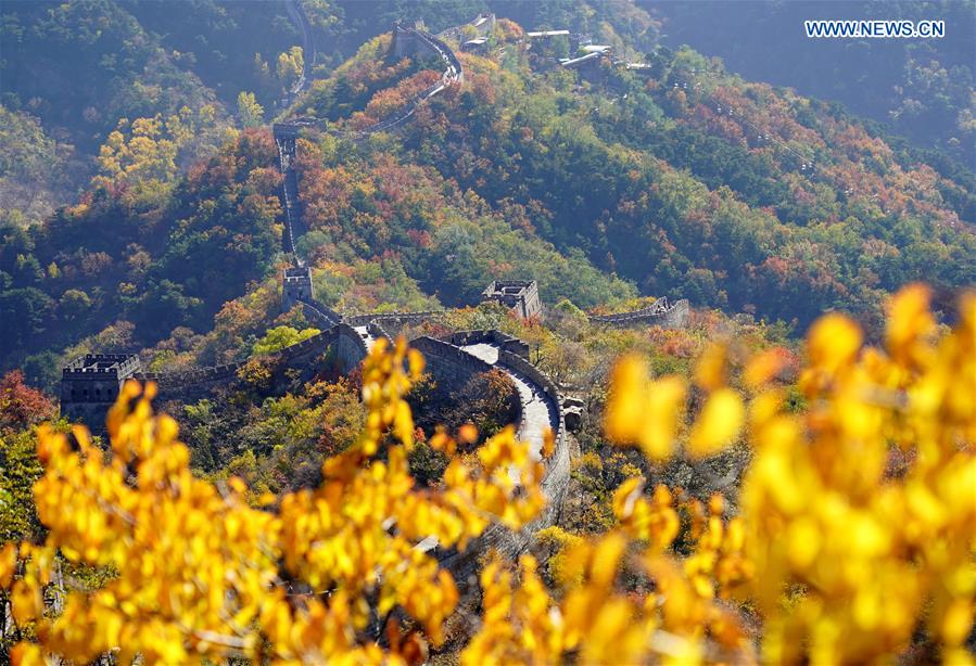 CHINA-BEIJING-GREAT WALL-AUTUMN SCENERY (CN)