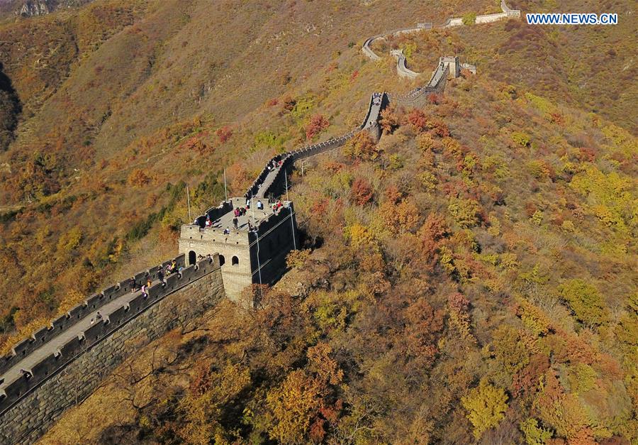 CHINA-BEIJING-GREAT WALL-AUTUMN SCENERY (CN)