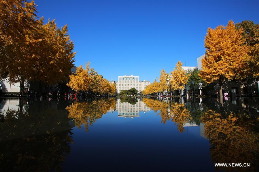 CHINA-BEIJING-TSINGHUA UNIVERSITY-AUTUMN SCENERY (CN)