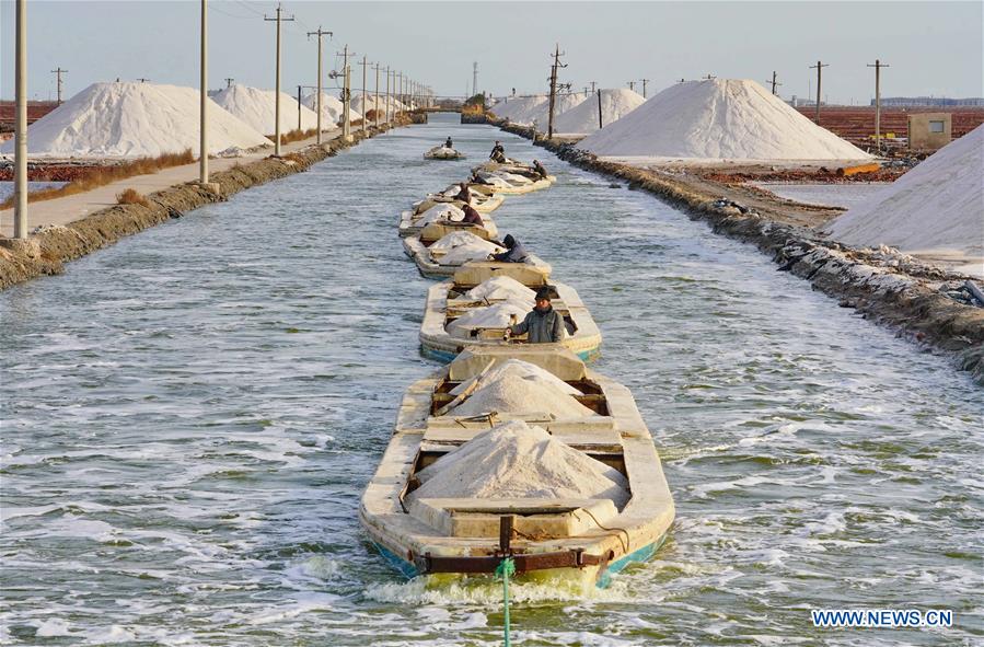 CHINA-HEBEI-CAOFEIDIAN-SALT PAN-AUTUMN-HARVEST (CN)