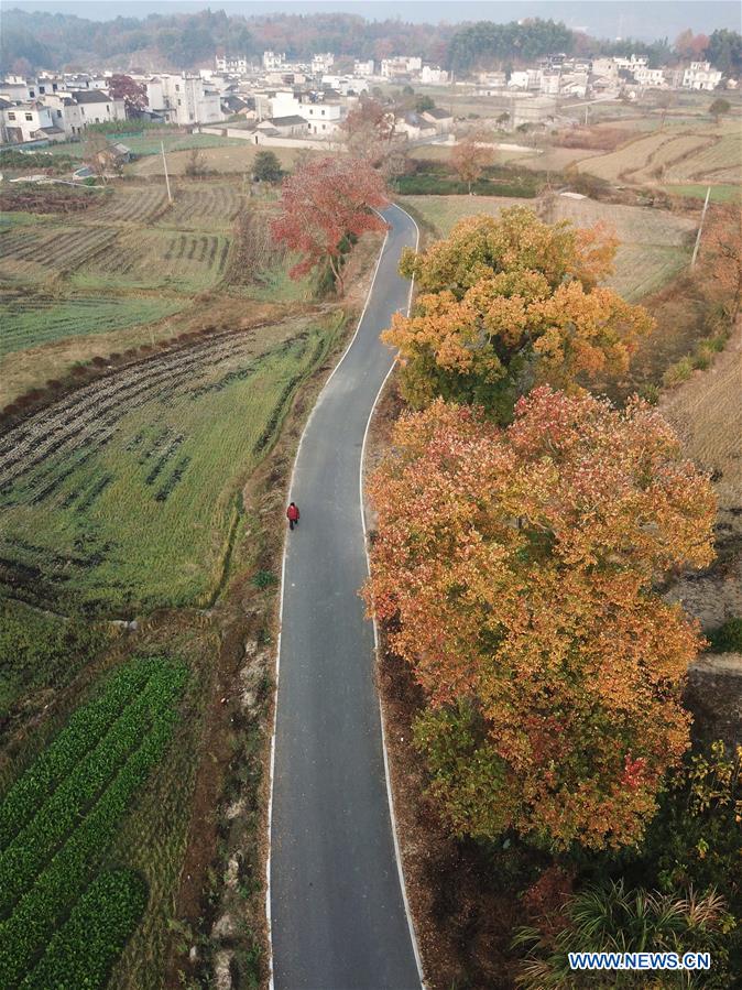 CHINA-ANHUI-HUANGSHAN-COUNTRYSIDE-SCENERY (CN)