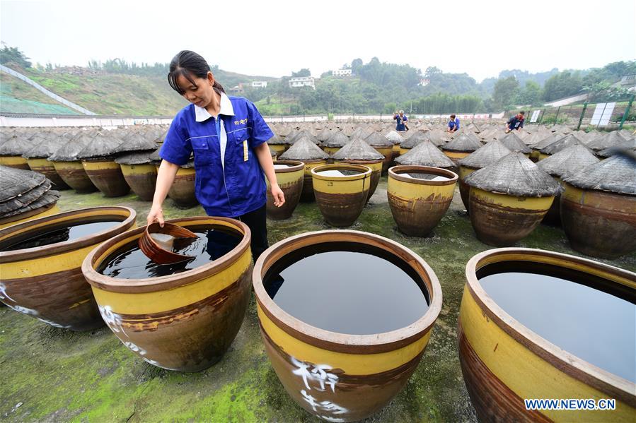 CHINA-GUIZHOU-VINEGAR MAKING (CN)