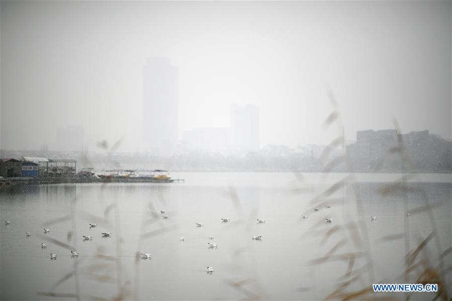 CHINA-NINGXIA-YINCHUAN-SNOWFALL (CN)