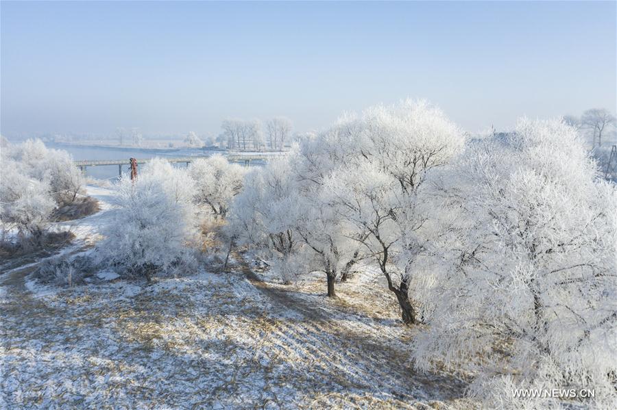 CHINA-JILIN-WUSONG ISLAND SCENIC SPOT-FROST (CN)