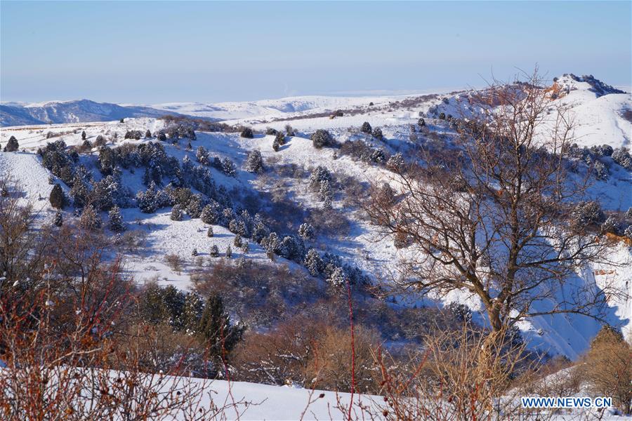 UZBEKISTAN-TASHKENT-WINTER VIEWS