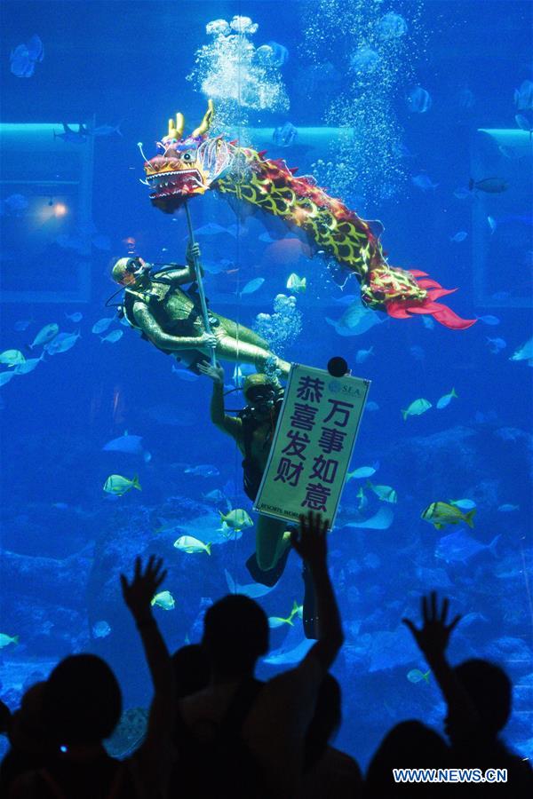 SINGAPORE-CHINESE NEW YEAR-DRAGON DANCE