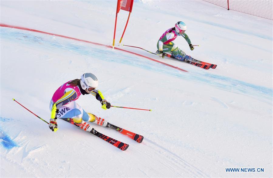 (SP)SWITZERLAND-LES DIABLERETS-WINTER YOG-ALPINE SKIING-PARALLEL MIXED TEAM