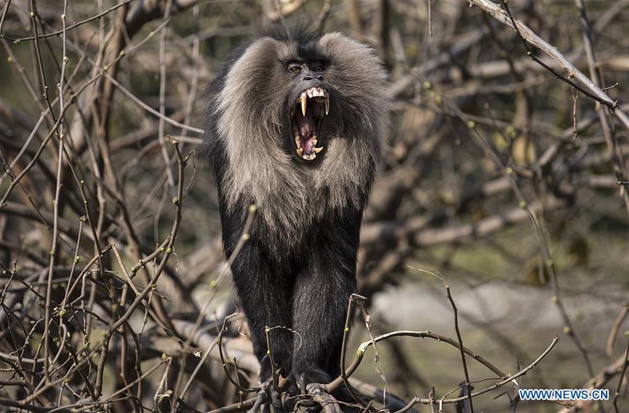 INDIA-NEW DELHI-NATIONAL ZOOLOGICAL PARK